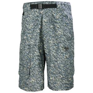 53726-545-short-helly-hansen-archive-22-basalt-reflections-aop