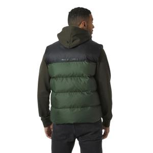 product/h/e/helly-hansen_53989-390_jungle-green_1.jpg