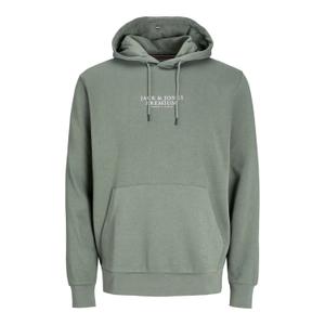 12216335-4780547-sweatshirt-jack-jones-bluarchie-iceberg-green