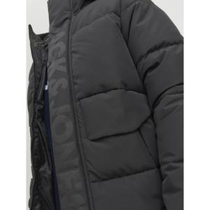 product/j/a/jack-jones_12246122-4346038_5.jpg