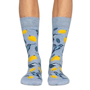 product/j/i/jimmy-lion_jl0092-light_blue_1.jpg