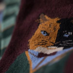 product/j/i/jimmy-lion_jl0339-aubergine_3.jpg