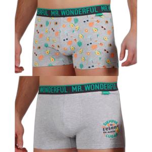 48371p-0-000504-boxer-mr-wonderful-it-s-always-summer-x2-gris