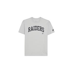 01ay-09d-8dv-np1-t-shirt-loose-fit-las-vegas-raiders-medium-silver