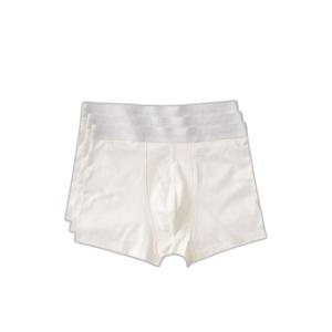 170283w04-boxers-nudie-jeans-briefs-x3-blanc