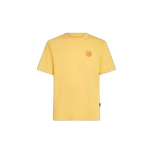 2850290-12022-t-shirt-o-neill-o-riginals-vintage-graphic-golden-haze