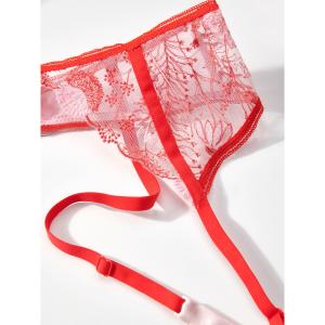 product/p/a/passionata_t221-0801_red-fuchsia_2.jpg