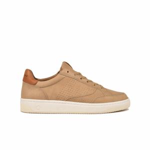 628437150-baskets-pataugas-basalt-n-h2h-beige