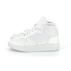 product/p/i/piola_854520-60-3_3.jpg