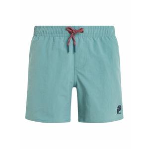 2810000-486-short-de-bain-enfant-protest-culture-arcticgreen