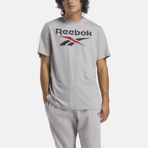 product/r/e/reebok-t-shirt-large-logo-superpos-reebok-identity_25353302_01.jpeg