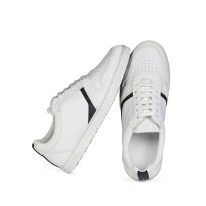 product/s/2/s21_glencoe_ogl04_01_1_2.jpg