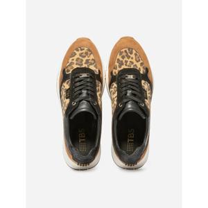 product/t/b/tbs_blondie-f7405_leopard_3.jpg