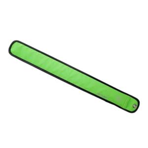 product/w/h/wheel-bee_c2037_green_2.jpg